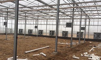 大棚風機丝瓜视频污视频